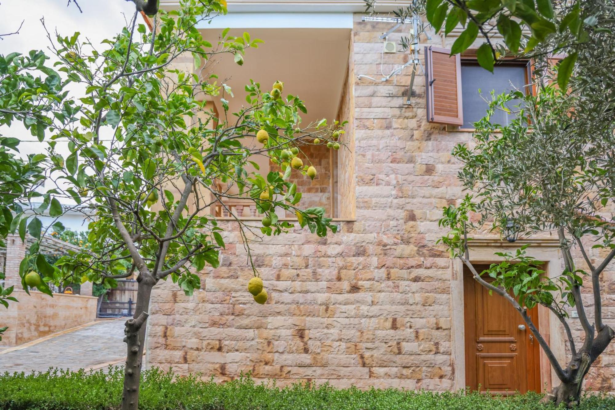 Archontiko Frideriki Luxury Apartments Χίος Εξωτερικό φωτογραφία